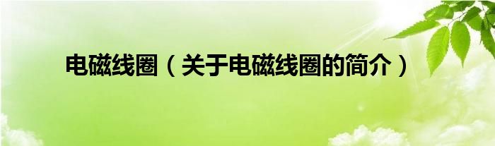 電磁線圈（關(guān)于電磁線圈的簡(jiǎn)介）