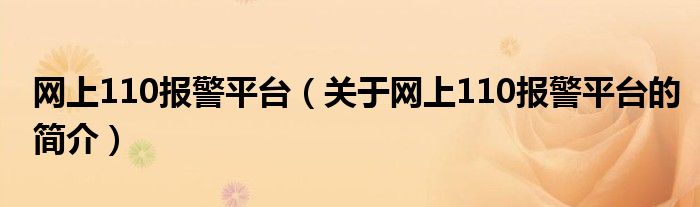 網上110報警平臺（關于網上110報警平臺的簡介）