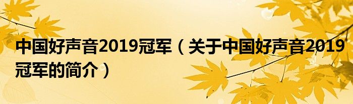 中國好聲音2019冠軍（關(guān)于中國好聲音2019冠軍的簡介）