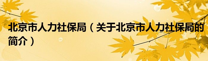 北京市人力社保局（關于北京市人力社保局的簡介）