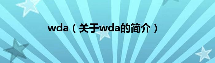 wda（關于wda的簡介）