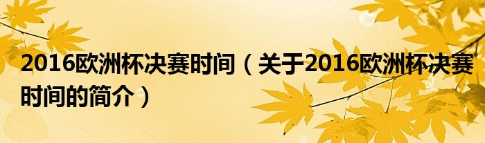 2016歐洲杯決賽時間（關(guān)于2016歐洲杯決賽時間的簡介）