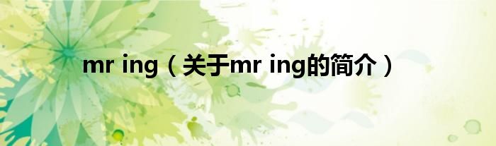 mr ing（關于mr ing的簡介）