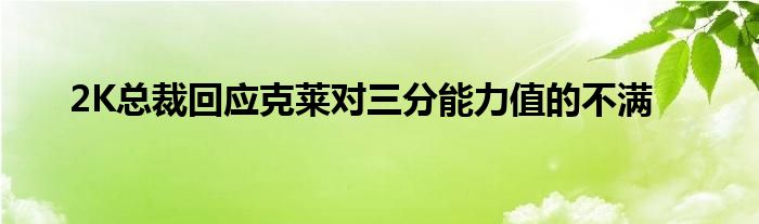  2K總裁回應克萊對三分能力值的不滿 