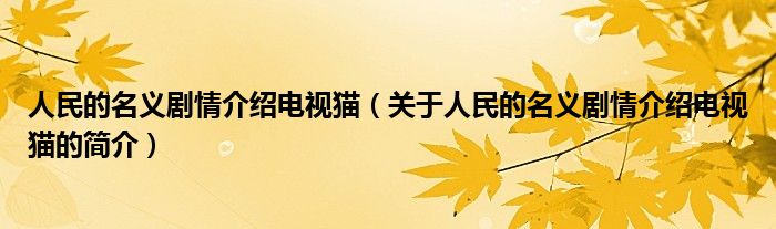 人民的名義劇情介紹電視貓（關(guān)于人民的名義劇情介紹電視貓的簡介）