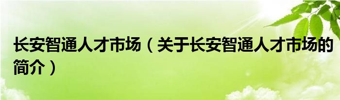 長安智通人才市場（關(guān)于長安智通人才市場的簡介）