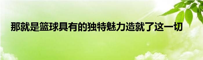 那就是籃球具有的獨特魅力造就了這一切