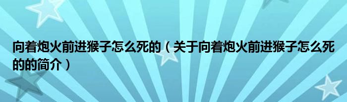 向著炮火前進(jìn)猴子怎么死的（關(guān)于向著炮火前進(jìn)猴子怎么死的的簡介）