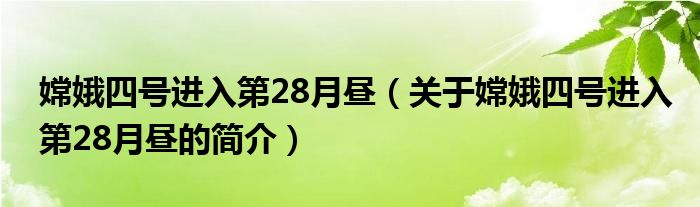 嫦娥四號進入第28月晝（關于嫦娥四號進入第28月晝的簡介）