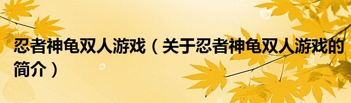 忍者神龜雙人游戲（關(guān)于忍者神龜雙人游戲的簡(jiǎn)介）