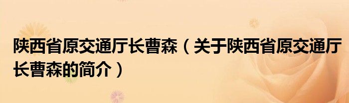 陜西省原交通廳長曹森（關(guān)于陜西省原交通廳長曹森的簡(jiǎn)介）