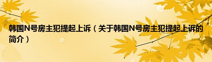 韓國N號(hào)房主犯提起上訴（關(guān)于韓國N號(hào)房主犯提起上訴的簡介）