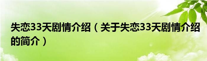 失戀33天劇情介紹（關于失戀33天劇情介紹的簡介）