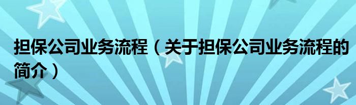 擔保公司業(yè)務(wù)流程（關(guān)于擔保公司業(yè)務(wù)流程的簡介）