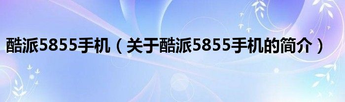 酷派5855手機(jī)（關(guān)于酷派5855手機(jī)的簡介）