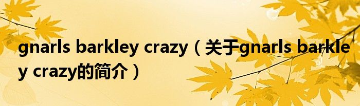 gnarls barkley crazy（關(guān)于gnarls barkley crazy的簡(jiǎn)介）