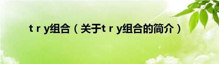 t r y組合（關(guān)于t r y組合的簡介）