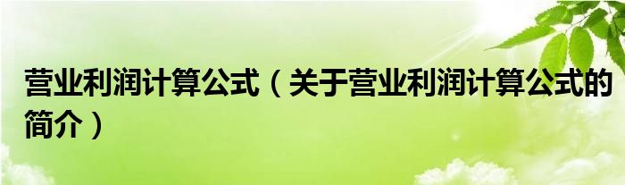 營業(yè)利潤計算公式（關(guān)于營業(yè)利潤計算公式的簡介）