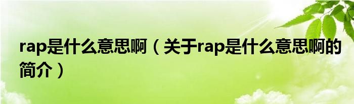 rap是什么意思?。P(guān)于rap是什么意思啊的簡介）