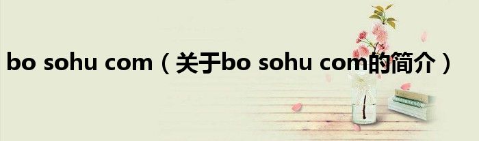 bo sohu com（關于bo sohu com的簡介）