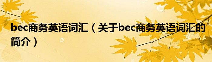 bec商務(wù)英語詞匯（關(guān)于bec商務(wù)英語詞匯的簡介）