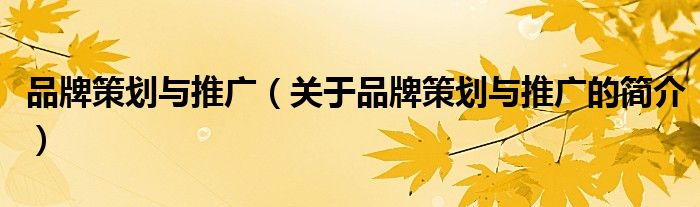 品牌策劃與推廣（關(guān)于品牌策劃與推廣的簡介）