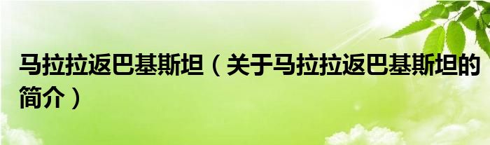 馬拉拉返巴基斯坦（關(guān)于馬拉拉返巴基斯坦的簡(jiǎn)介）