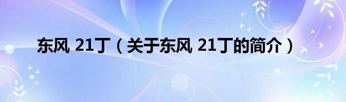 東風(fēng) 21丁（關(guān)于東風(fēng) 21丁的簡(jiǎn)介）