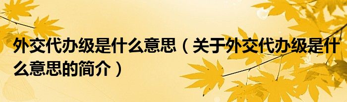 外交代辦級(jí)是什么意思（關(guān)于外交代辦級(jí)是什么意思的簡(jiǎn)介）