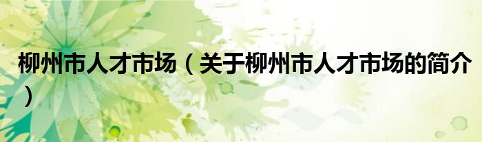 柳州市人才市場（關(guān)于柳州市人才市場的簡介）