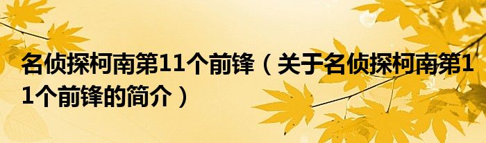 名偵探柯南第11個(gè)前鋒（關(guān)于名偵探柯南第11個(gè)前鋒的簡(jiǎn)介）