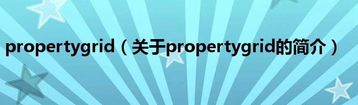 propertygrid（關(guān)于propertygrid的簡介）