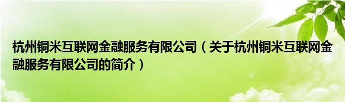 杭州銅米互聯(lián)網(wǎng)金融服務(wù)有限公司（關(guān)于杭州銅米互聯(lián)網(wǎng)金融服務(wù)有限公司的簡(jiǎn)介）