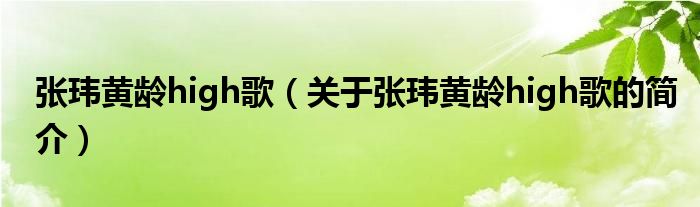 張瑋黃齡high歌（關(guān)于張瑋黃齡high歌的簡(jiǎn)介）