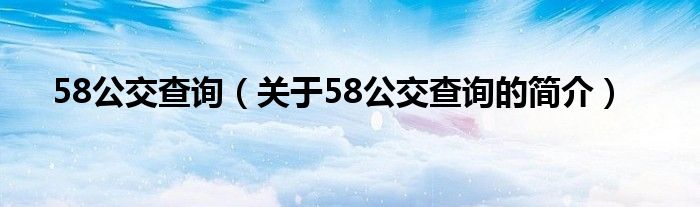 58公交查詢（關于58公交查詢的簡介）