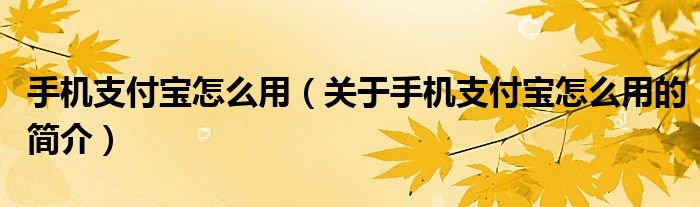 手機支付寶怎么用（關(guān)于手機支付寶怎么用的簡介）