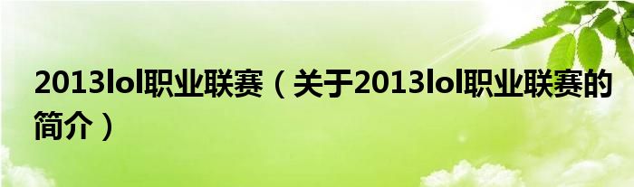 2013lol職業(yè)聯(lián)賽（關(guān)于2013lol職業(yè)聯(lián)賽的簡介）