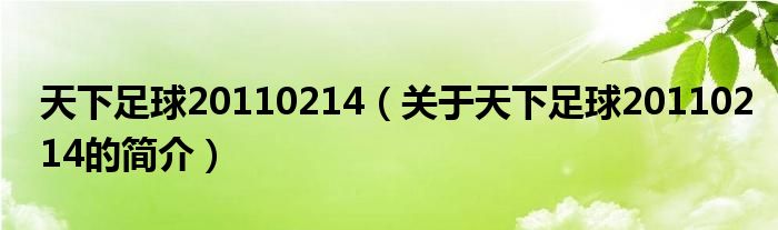 天下足球20110214（關(guān)于天下足球20110214的簡(jiǎn)介）