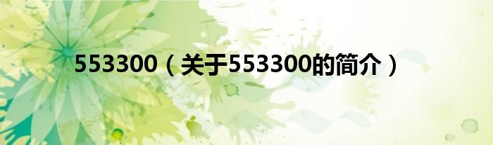 553300（關(guān)于553300的簡(jiǎn)介）