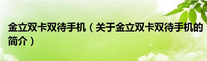 金立雙卡雙待手機(jī)（關(guān)于金立雙卡雙待手機(jī)的簡(jiǎn)介）