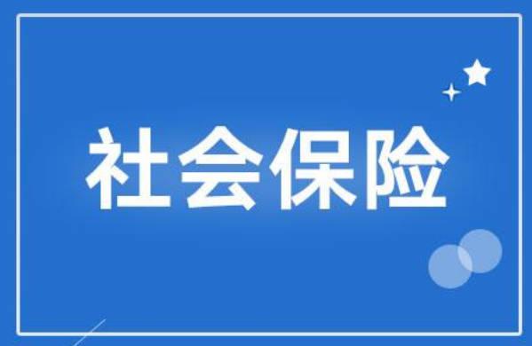 個(gè)人繳納社保和企業(yè)繳納的區(qū)別是什么？