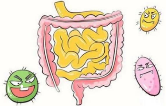 腸道不健康的六大表現(xiàn)