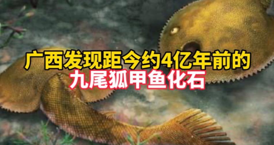 發(fā)現(xiàn)新屬種九尾狐甲魚(yú)，揭開(kāi)盔甲魚(yú)類尾鰭的神秘面紗