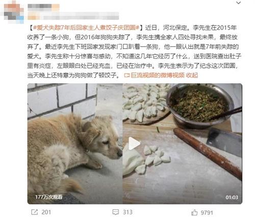 7年后失蹤的愛犬回家，主人感動不已