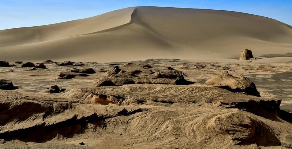 羅布泊野駱駝保護區(qū)禁私自進入，外地游客嚴防危險