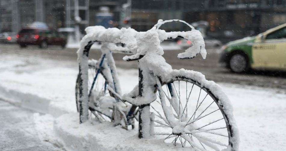 寒潮襲擊山東：雪深破紀(jì)錄，專家解讀應(yīng)對(duì)之策