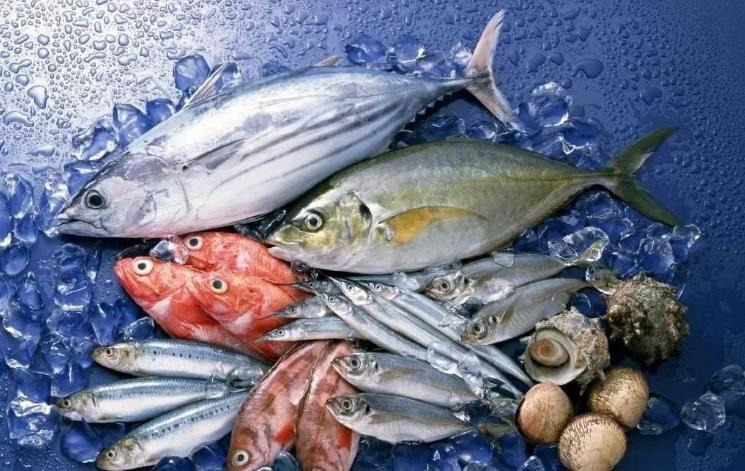 臺灣曝光：日本秋刀魚含致癌物超標40倍，島內網民憂心食品安全