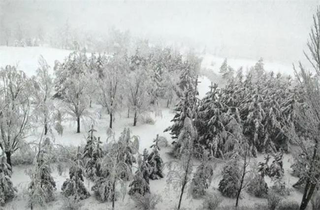 內(nèi)蒙古多倫縣突降大雪，交通受阻學校停課，氣象部門發(fā)布結冰預警